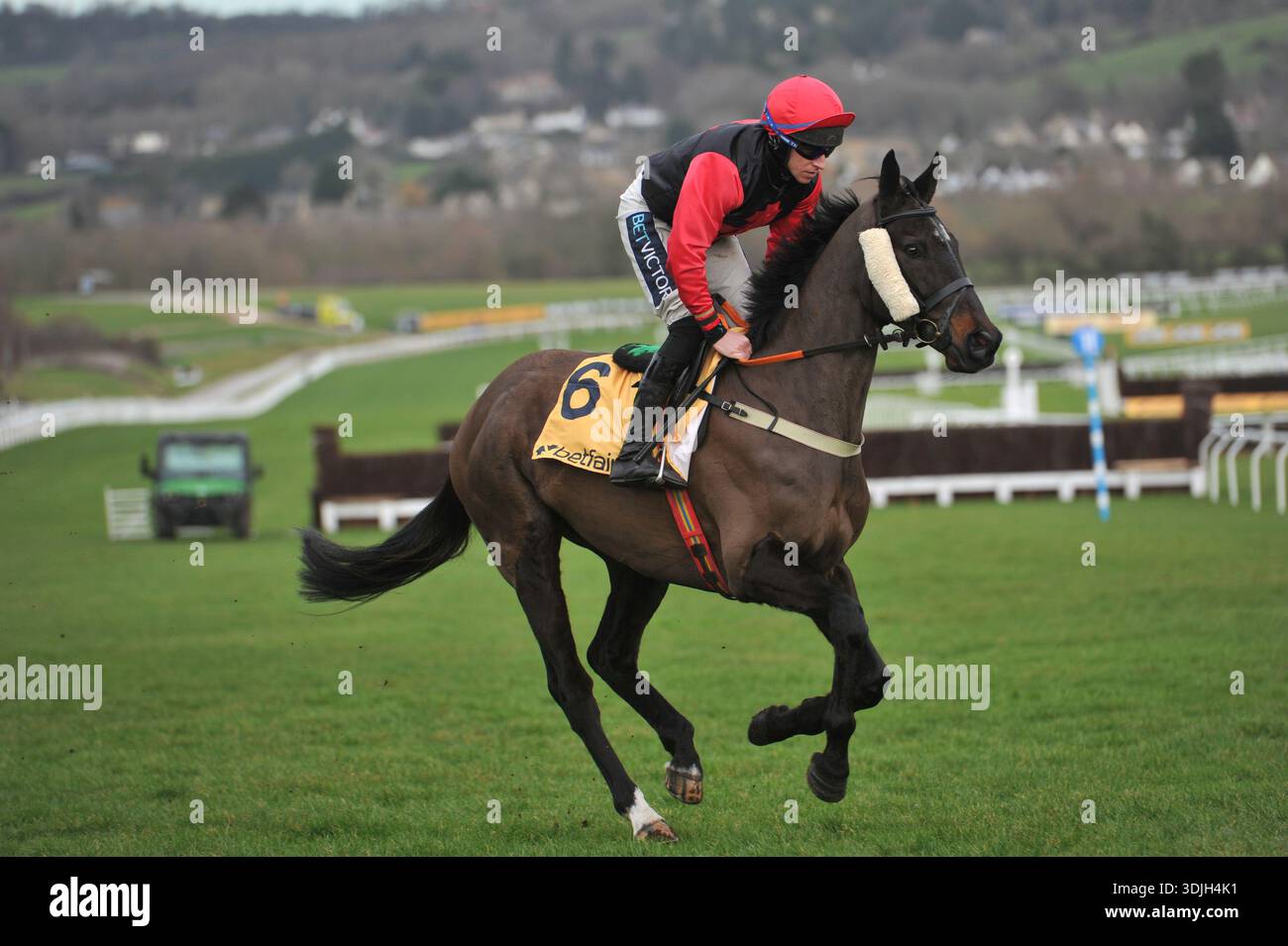 Rennen auf der Cheltenham Racecourse am Festival Trials Day, 24. Januar. Rennen 3 1,15 Betfair Exchange Chase Prairie Wolf, geritten von Gavin Sheehan Goin Stockfoto
