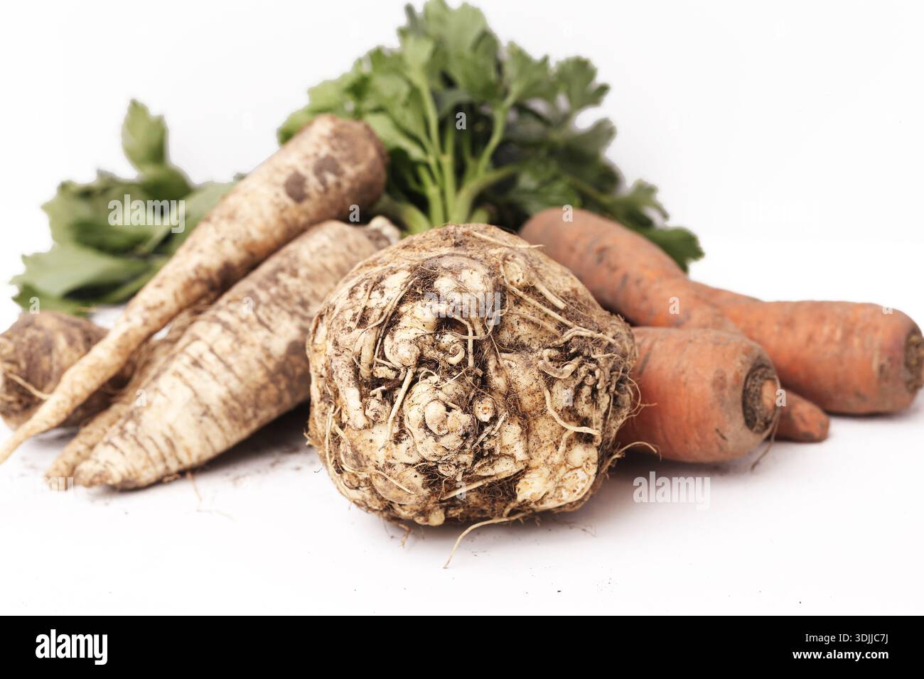 Gemischtes Wurzelgemüse einschließlich Petersilienwurzel Karotte und Sellerie isoliert auf weißem Hintergrund. Frische Bio-Produkte zum Kochen von Suppen. Stockfoto