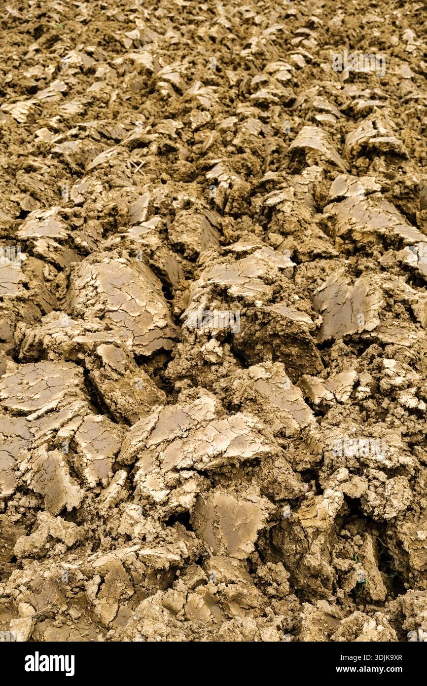 Nahaufnahme eines frisch gepflügten Feldes mit trockenem, klauschigem braunem Boden in der ländlichen Umgebung von Motovun. Stockfoto