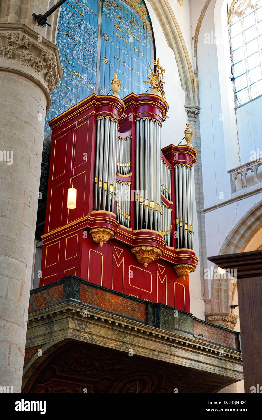 Verzierte rot-goldene Pfeifenorgel im historischen St. Catharijnekerk in Brielle, Südholland, Niederlande Stockfoto