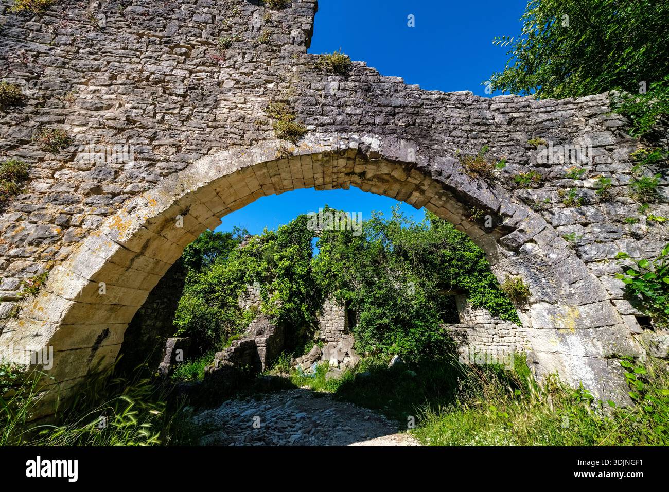 Blick durch einen Steinbogen auf die Ruinen von Dvigrad. Üppig grüne Bäume wachsen zwischen den alten Mauern der verlassenen Stadt. Dvigrad Istrien Kroatien FB 2 Stockfoto