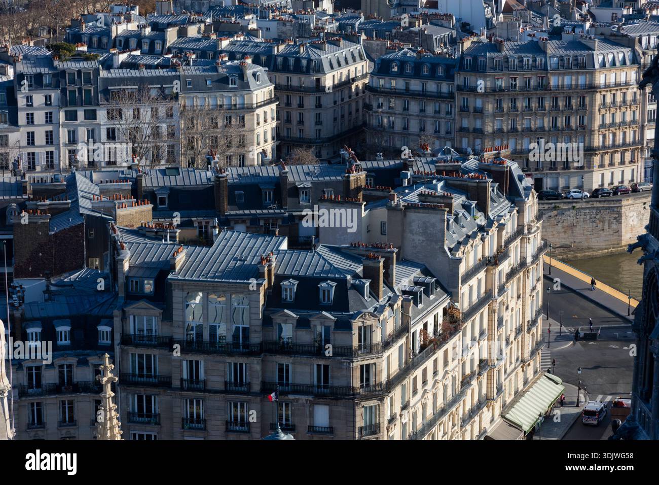 Blick auf Pariser Architektur von der Kathedrale Notre Dame, Türme - Paris, Frankreich Stockfoto