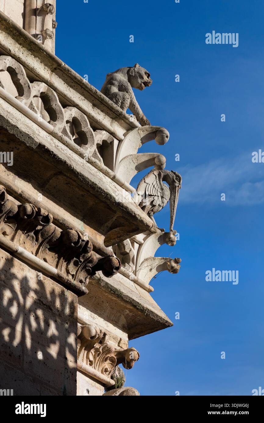 Katzen- und Vogelgargoyles auf einem der Türme der Kathedrale Notre-Dame; - Paris; Frankreich Stockfoto