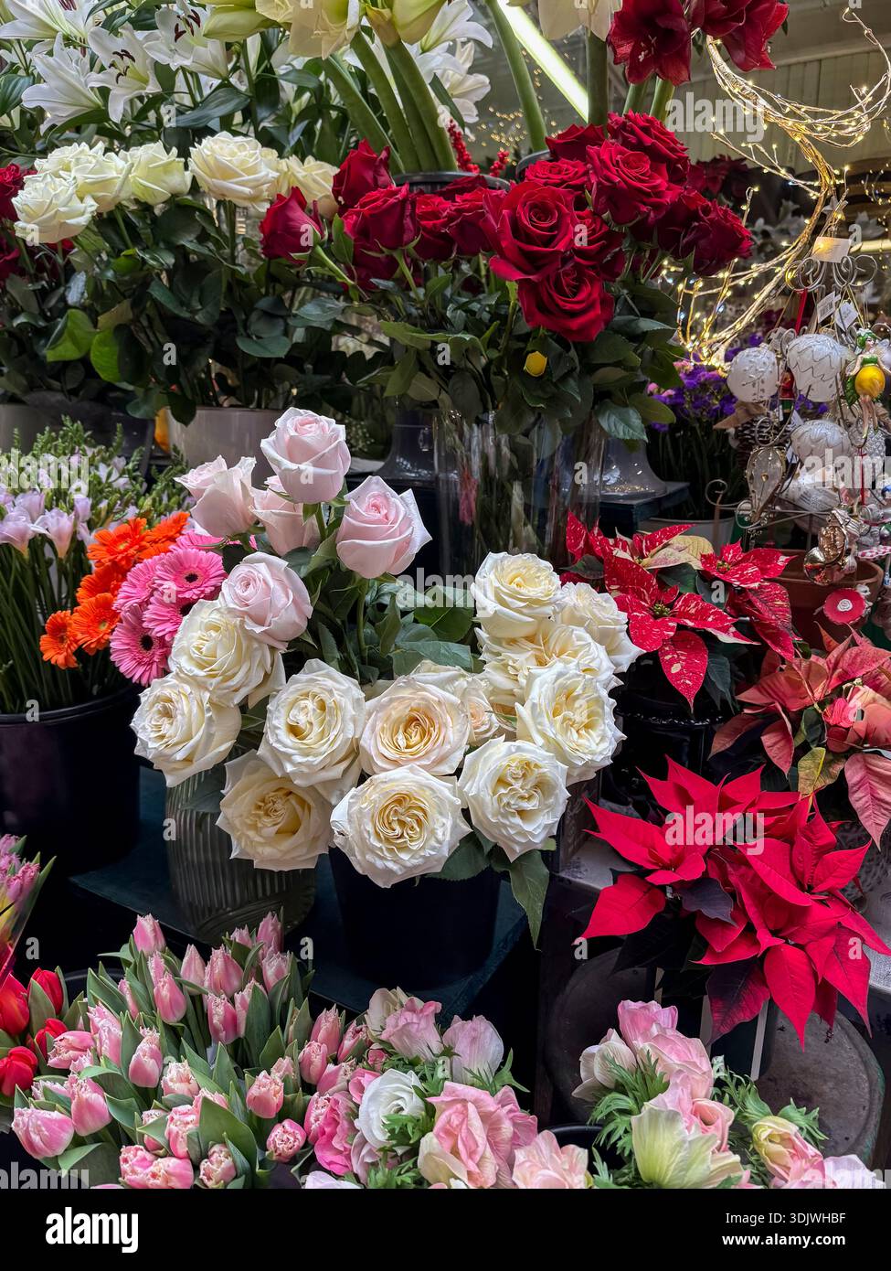Rosen zum Verkauf auf einem Straßenmarkt   Paris, Frankreich Stockfoto