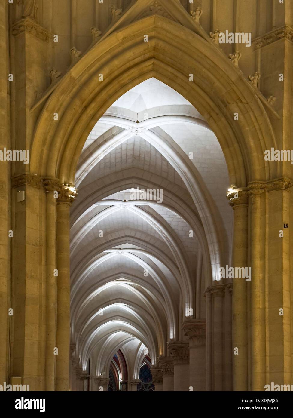 Die gotische Architektur mit Rippengewölben der Kathedrale Notre Dame und einem Rosenfenster aus dem 13. Jahrhundert in Paris, Frankreich Stockfoto