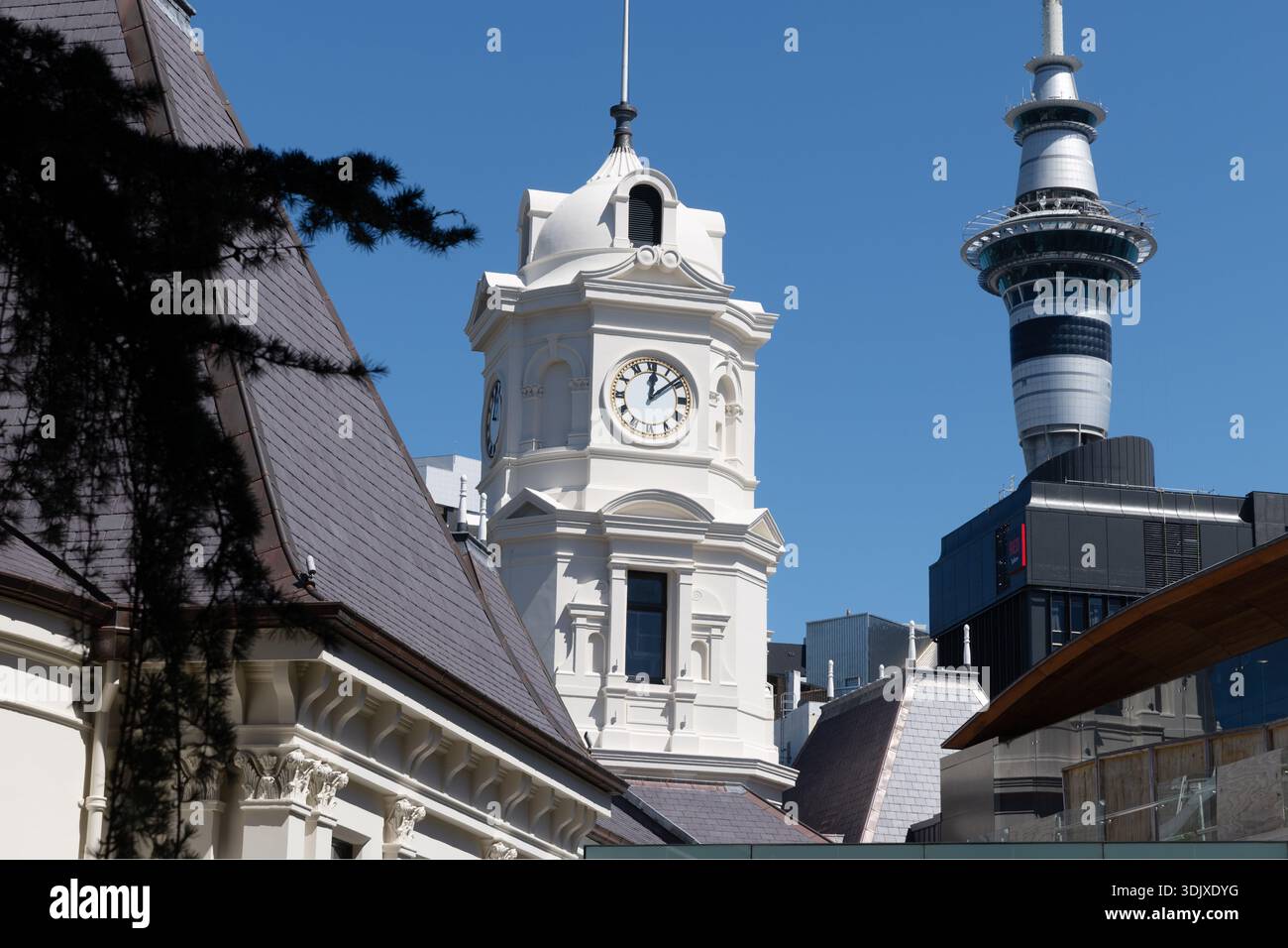 Historischer Uhrenturm im Zentrum von Auckland, eingerahmt von historischen Dächern, mit dem Sky Tower hinter einem klaren blauen Himmel. Stockfoto