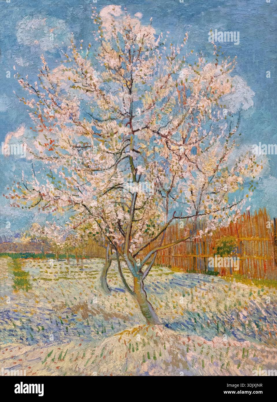 The Pink Peach Tree, Vincent van Gogh, 1888 Stockfoto