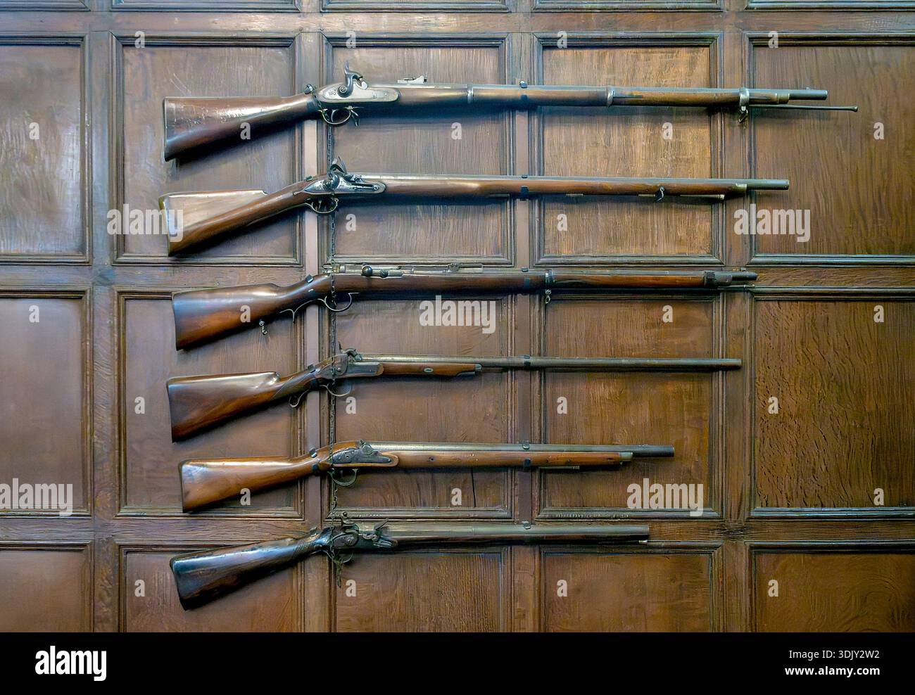 Alte Musketen, ausgestellt an einer holzgetäfelten Wand in einem historischen Innenraum, antike Schusswaffen und historische Waffensammlung Stockfoto