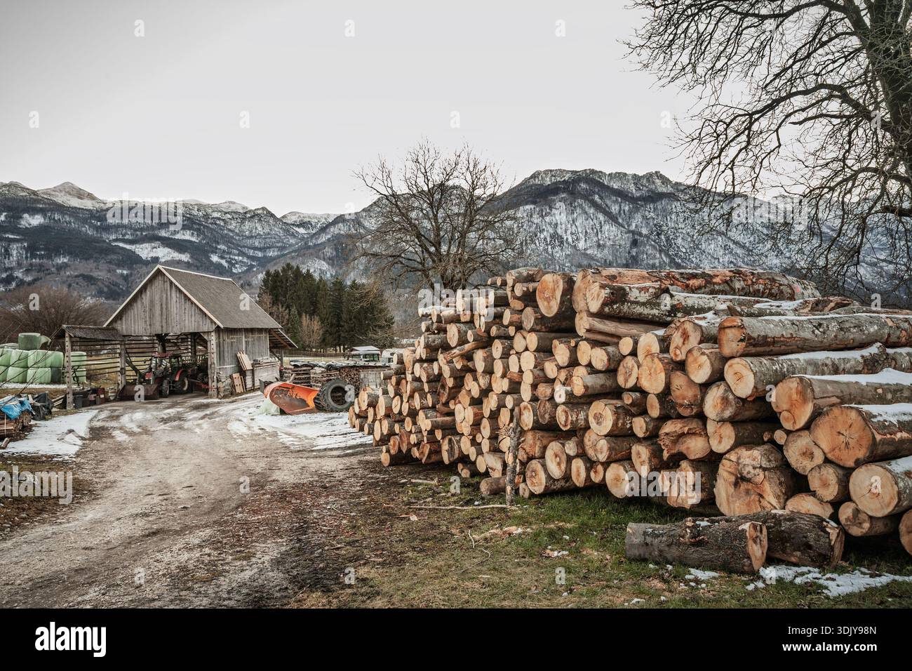 Alpinhof in Stara Fuzina bei Bohinj, Slowenien, mit Scheune und großem Stapel frisch geschnittener Stämme zum Heizen gegen schneebedeckte Berge Stockfoto