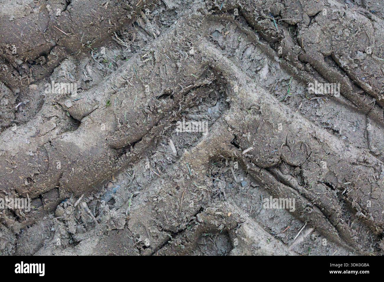 Detaillierte Ansicht von nassem Boden mit tiefen Reifenabdrücken und rauer Textur. Natürlicher Untergrund, der Fahrzeugspuren auf schlammigem Gelände veranschaulicht. Stockfoto