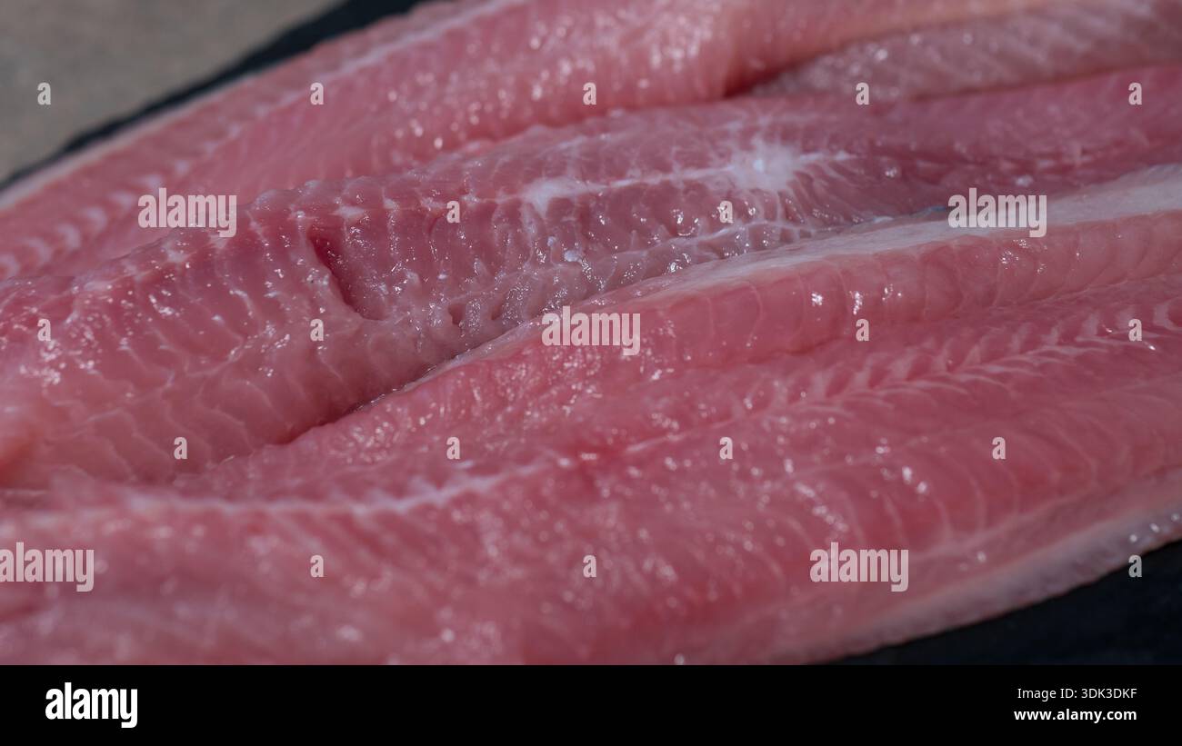 Rohe Wels-Filet in Nahaufnahme, die frische Meeresfrüchte repräsentiert Stockfoto