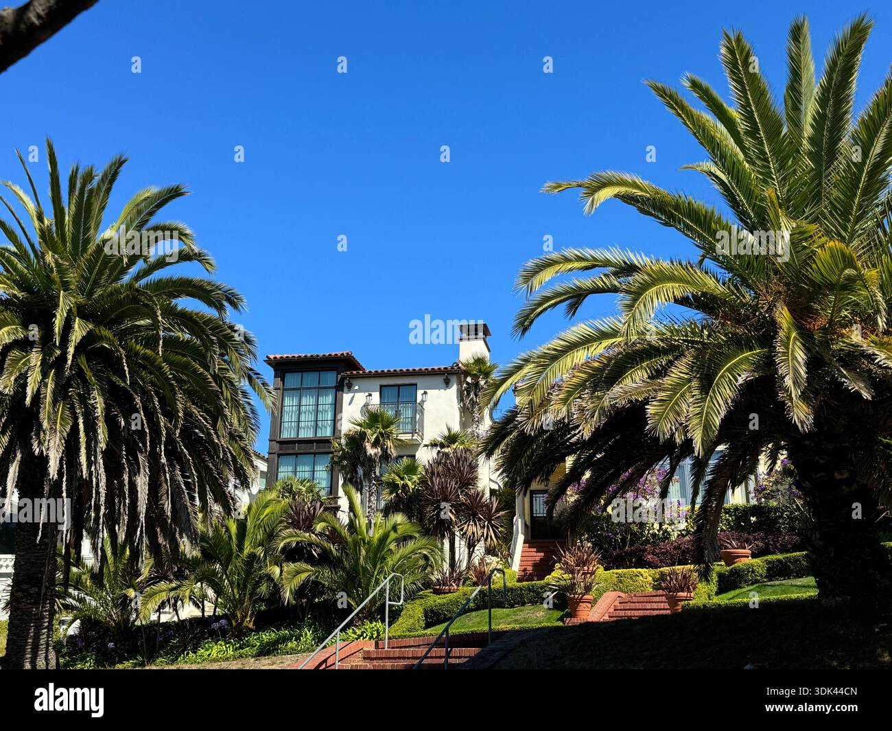 Haus im mediterranen Stil mit Palmen in San Francisco, Kalifornien, USA. - Smartphone-aufgenommenes Stockfoto