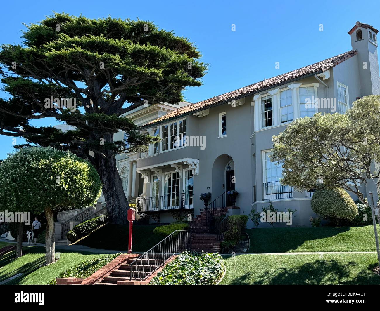 Elegantes Wohnhaus in San Francisco, Kalifornien, USA, mit Landschaftsgarten und Zypresse. - Smartphone-aufgenommenes Stockfoto
