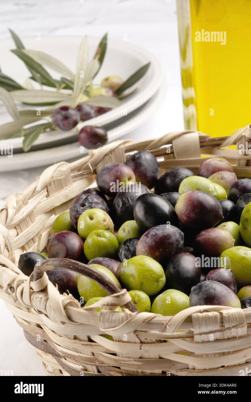 Frisch geerntete Oliven in Korb unter Olivenbaum Stockfotografie - Alamy