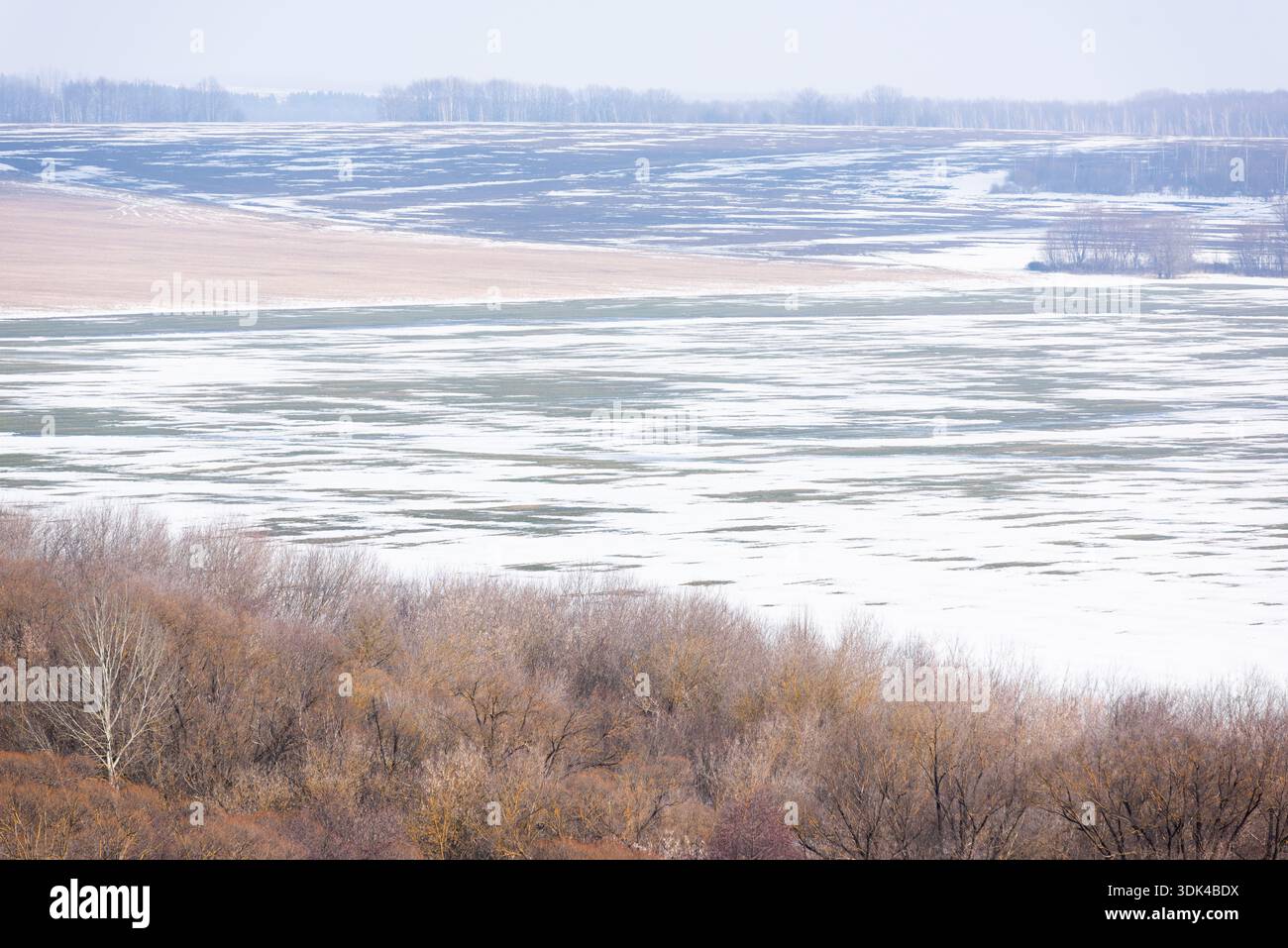 Ein schneebedecktes Feld mit Winterkulturen Stockfoto