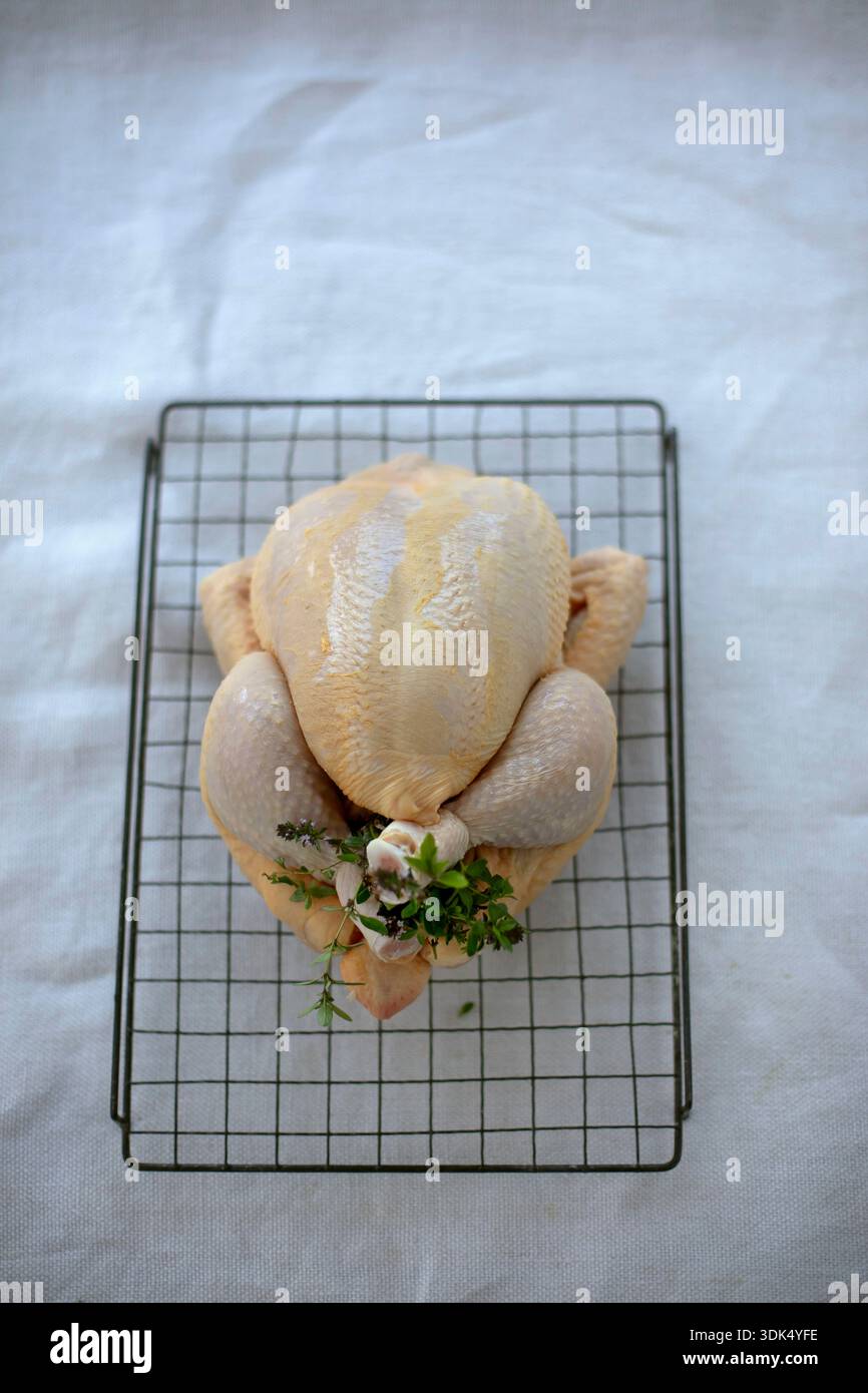 Ganzer roher poulard mit Kräutern Stockfoto