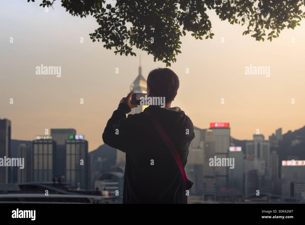 Blick auf eine Person, die das goldene Stadtbild mit einem Telefon erfasst, eingerahmt von grünen Ästen und fernen Hügeln, während der Dämmerung Hongkong, Kowloon, Hong Ko Stockfoto