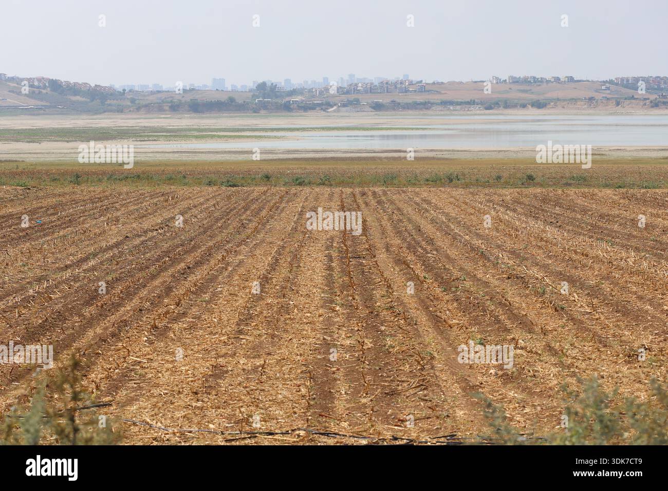Landschaftspflege nach der Ernte mit gefurchtem Boden: Weite Sicht auf ein trockenes Kulturfeld, das in Richtung eines fernen Sees und der Skyline der Stadt führt Stockfoto