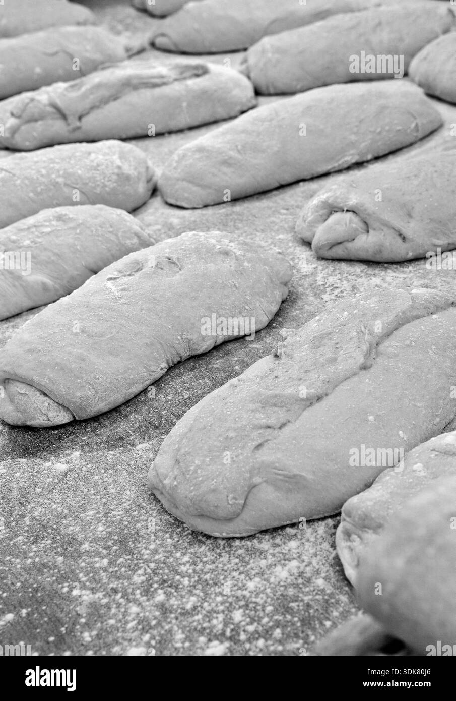 Rohes Vollkornbrot in Gärung, wartet darauf, in den Ofen zu kommen Stockfoto