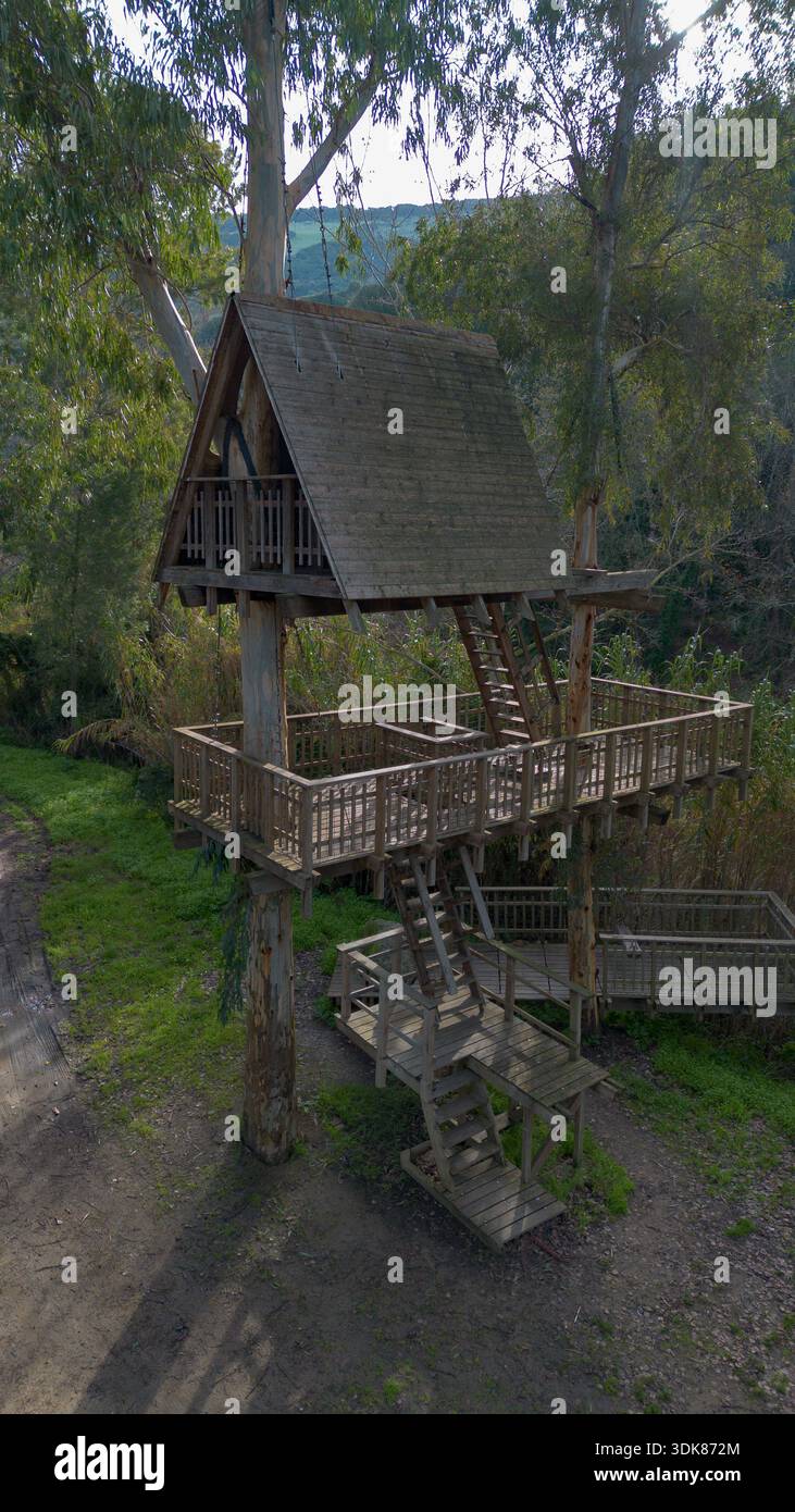 Hölzernes Baumhaus um einen lebenden Baum gebaut, umgeben von Wald Natur und erhöhten Gehwegen. Stockfoto
