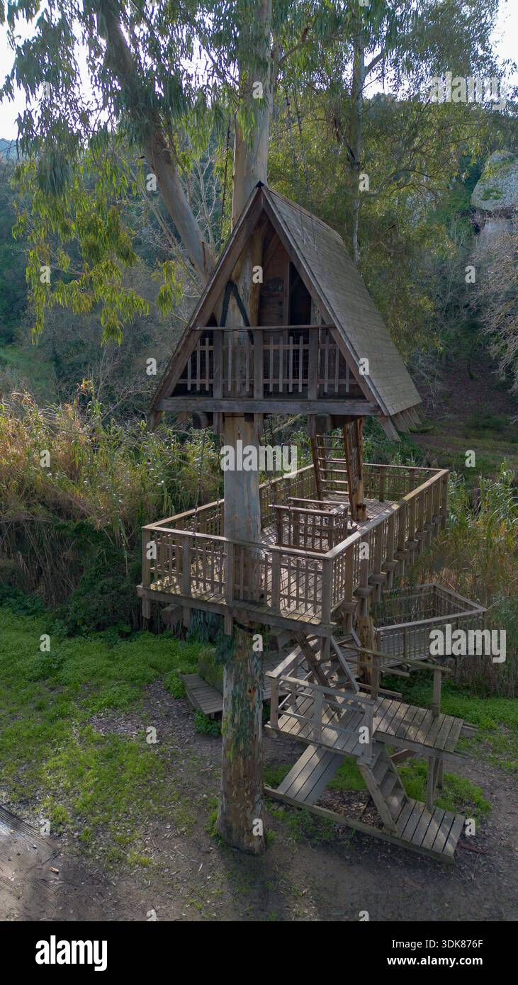 Hölzernes Baumhaus um einen lebenden Baum gebaut, umgeben von Wald Natur und erhöhten Gehwegen. Stockfoto