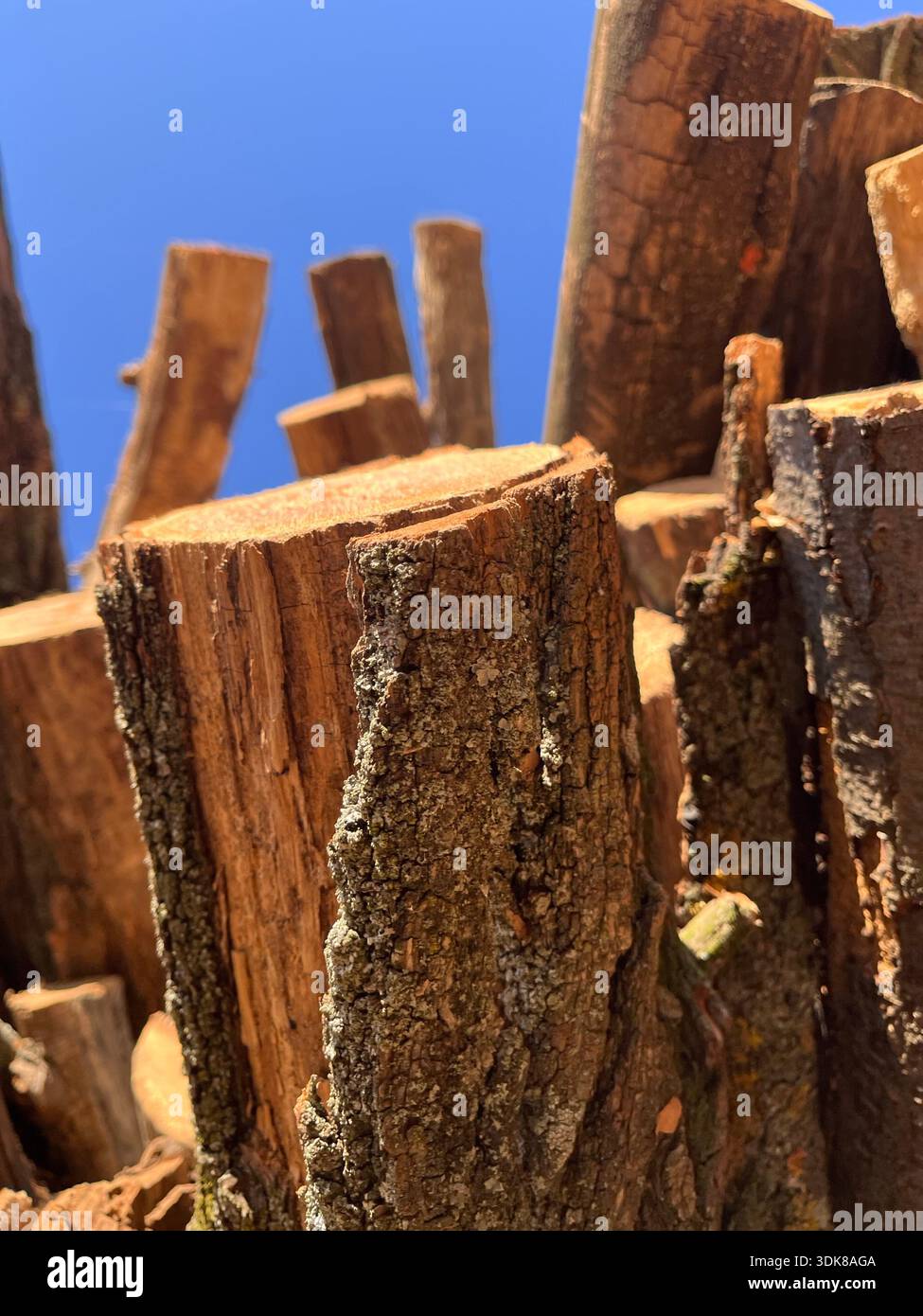 Stapel Brennholzstämme vor klarem blauem Himmel, Nahtstruktur von geschnittenem Holz. - Smartphone-aufgenommenes Stockfoto