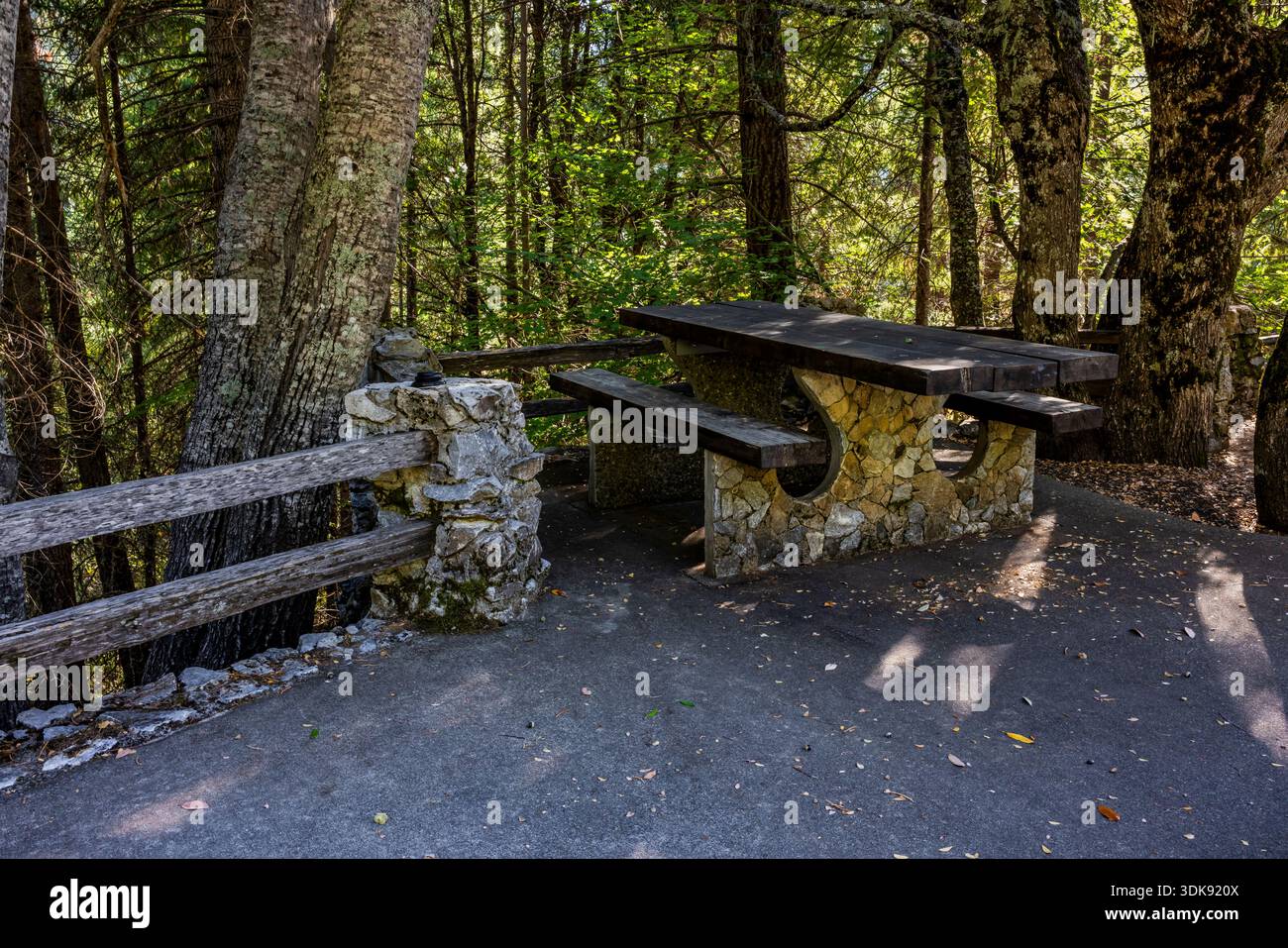 CCC Picknicktisch im Oregon Caves National Monument, Oregon, USA Stockfoto