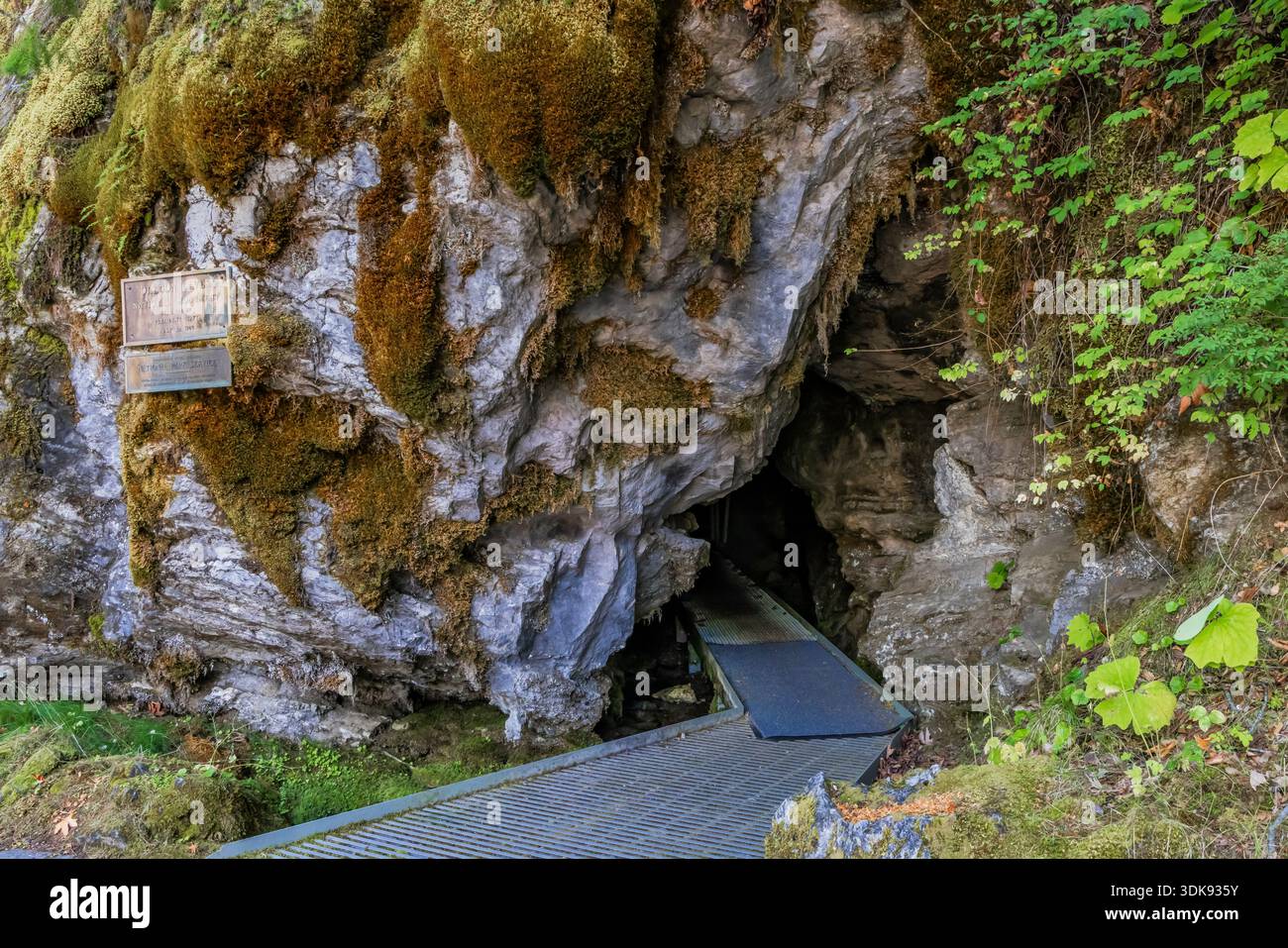 Eintritt zum Höhlensystem im Oregon Caves National Monument, Oregon, USA Stockfoto