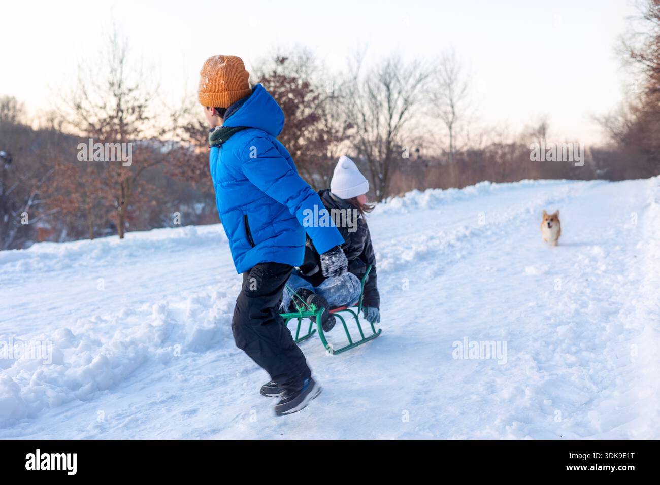 Kinder fahren gemeinsam mit Hund im verschneiten Winterpark. Freunde, Geschwister oder Familie genießen aktiven Outdoor-Winterspaß, Kinderfreude, Spiel und Bindung Stockfoto