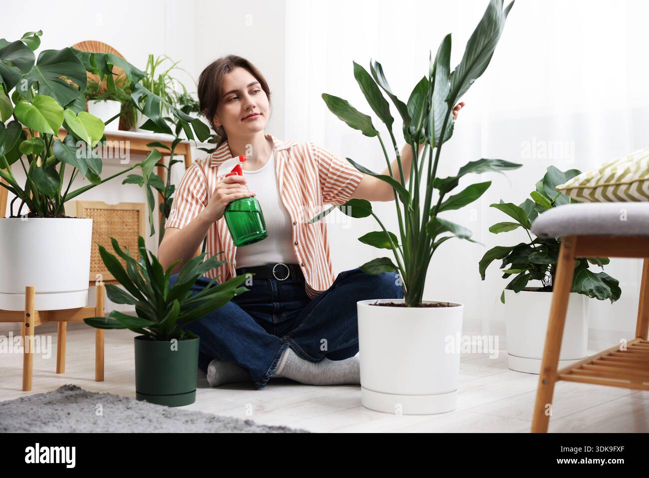 Frau sprht schne Topfpflanzen mit Wasser drinnen Stockfotografie - Alamy