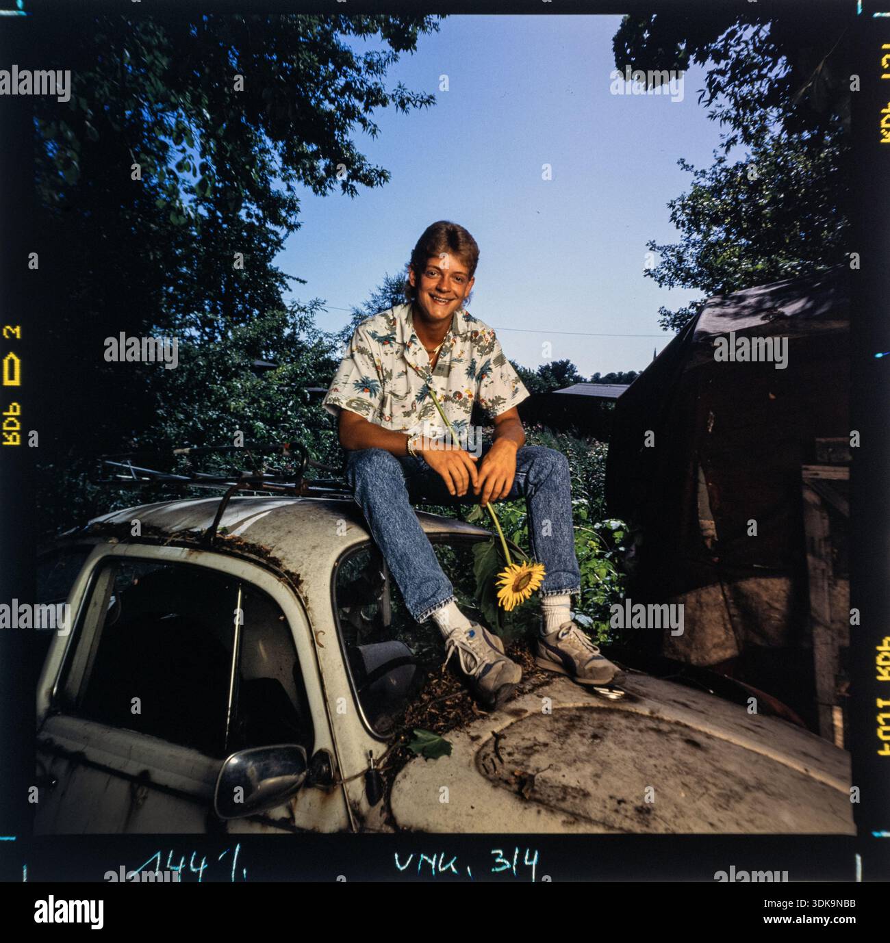 Ein glücklicher Mann sitzt beiläufig auf dem rostigen Dach eines alten VW-Käfers, der eine Sonnenblume hält. Stockfoto