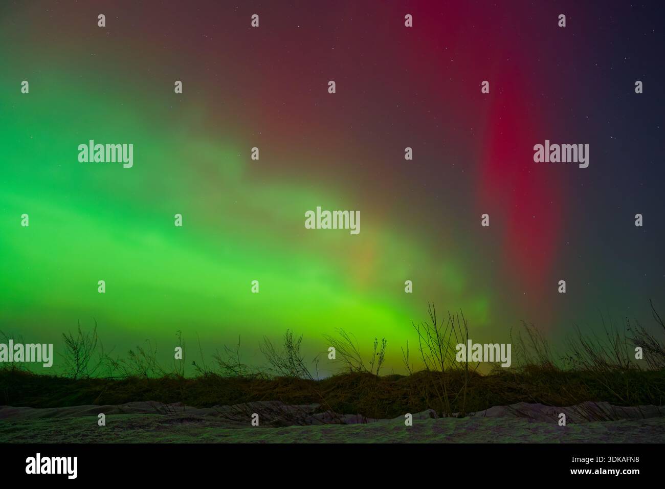 Leuchtende grüne Polarlichter tanzen über den Meereswellen. Ideal als Filmhintergrund, als Inspiration für Reisen oder als Titelbild für Naturdokumentationen. Stockfoto