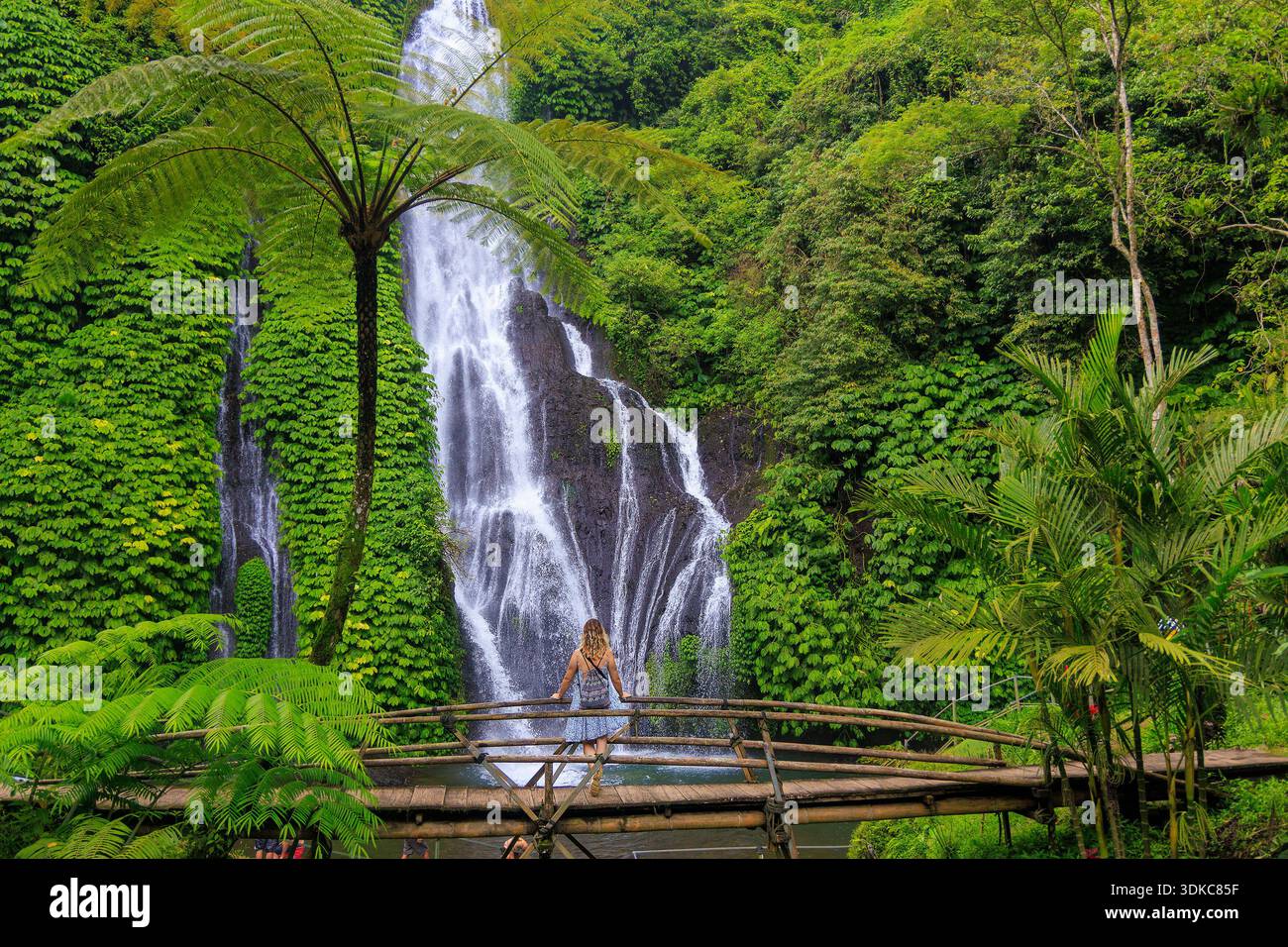 Frau steht auf der Bambusbrücke vor dem Banyumala Wasserfall, Bali, Indonesien Stockfoto