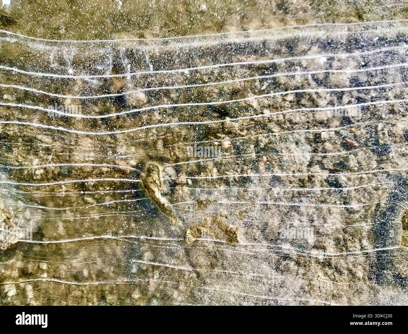 Gefrorene Wasseroberfläche mit natürlich geformten Eislinien und zarten Rissmustern offenbart den felsigen Boden. Lichtdurchlässiges Eis erzeugt eine einzigartige Textur. Stockfoto