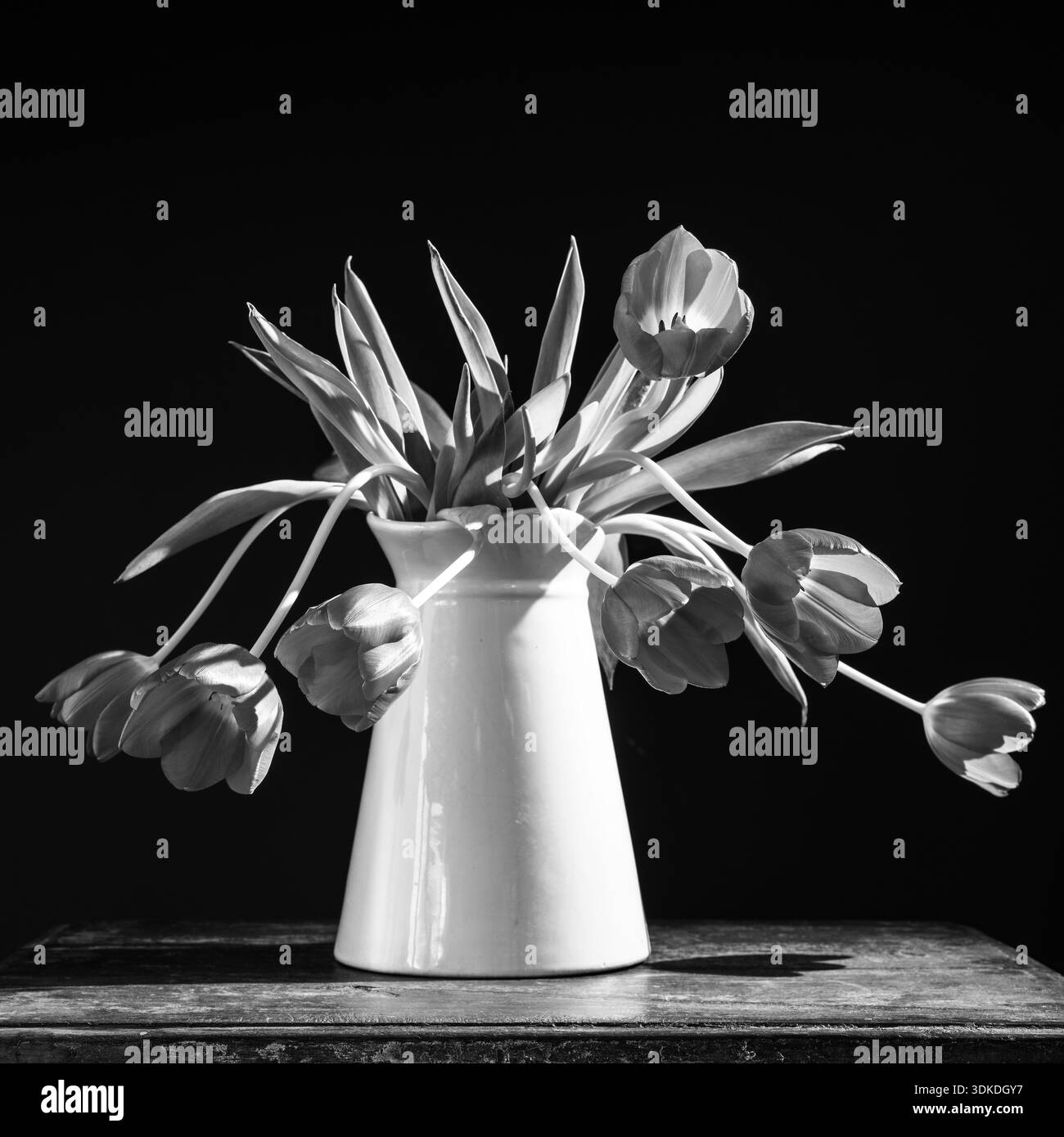 ROSAFARBENE TULPEN IN CREMEFARBENEM KRUG AUF TANNENTISCH VOR BLAUEM HINTERGRUND Stockfoto