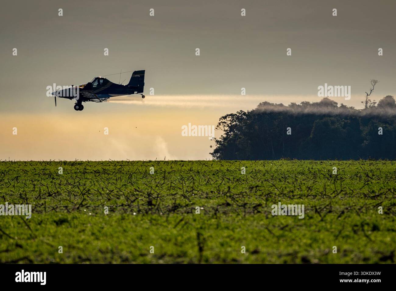 Dnger flugzeug -Fotos und -Bildmaterial in hoher Auflsung  Alamy
