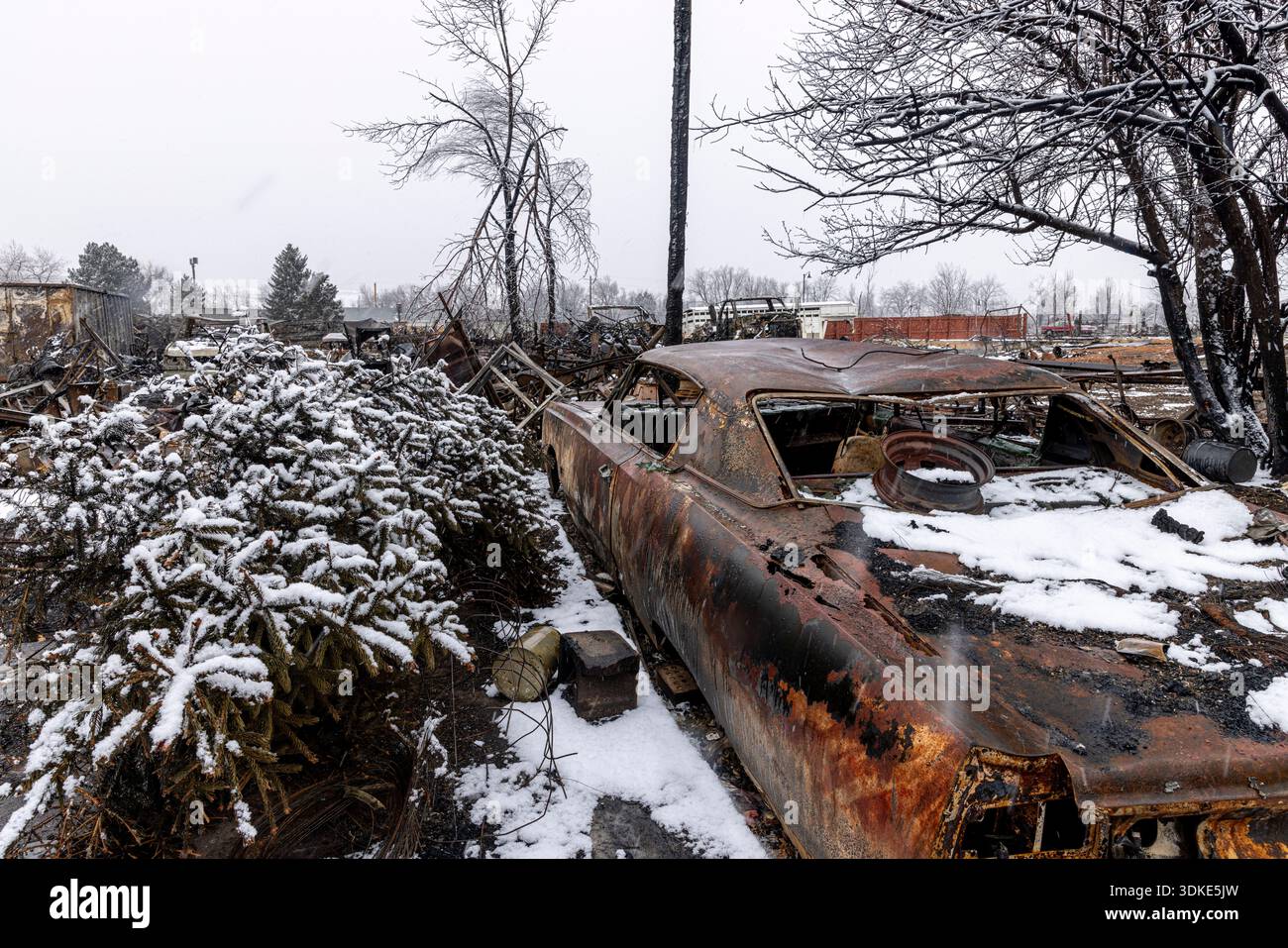Häuser, Fahrzeuge und Bäume wurden 2021 durch den Marshall-Brand in Boulder and Superior, Colorado, zerstört oder beschädigt. Das sich schnell bewegende Lauffeuer zerstörte Dutzende Stockfoto