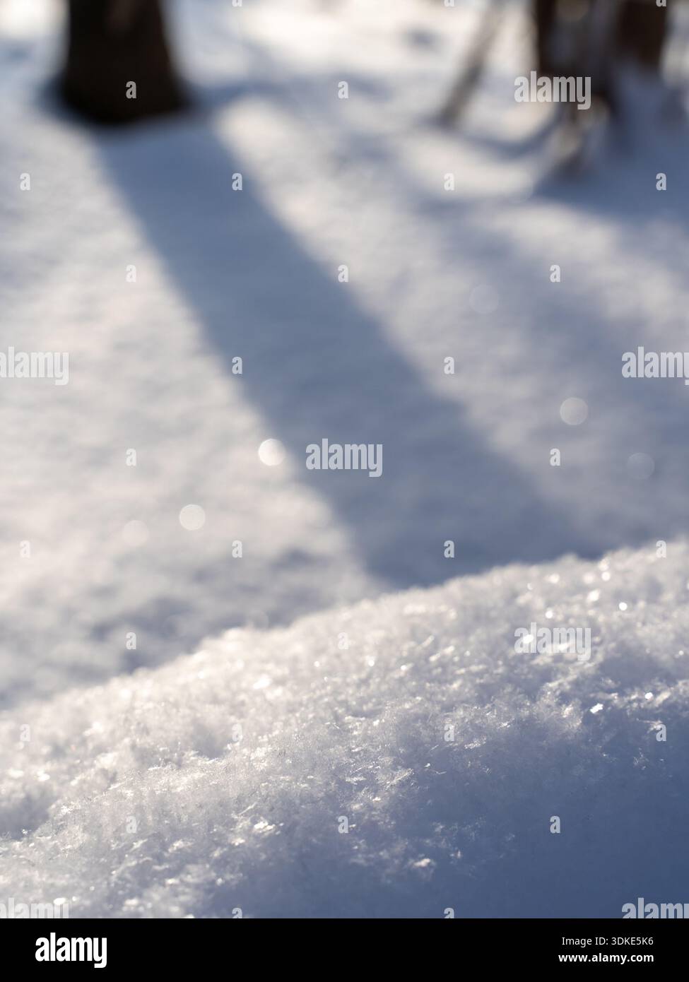 Abstrakter Winterhintergrund mit glitzerndem Schnee, weichen Bokeh-Highlights und langen Schatten, minimaler und ruhiger saisonaler Textur, geeignet für Design und Kopie Stockfoto