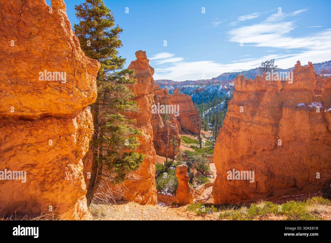 Der sandige Wanderweg schlängelt sich zwischen den geformten Hoodoo-Formationen im Bryce Canyon National Park, Utah. Stockfoto