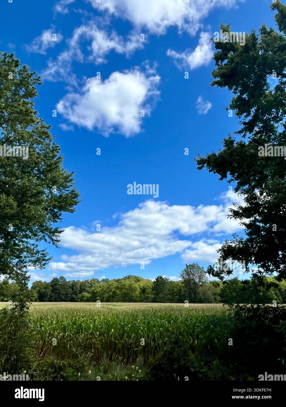 Ländliche Landschaft Von Ontario - Smartphone-aufgenommenes Stockfoto