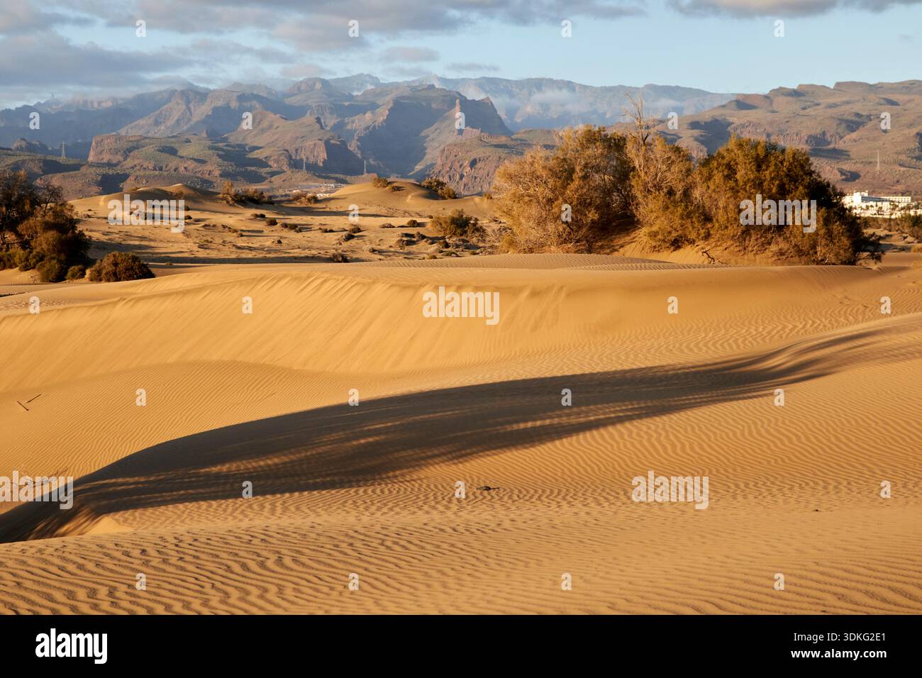 Sanddünen von maspalomas gran canaria, kanarische Inseln, spanien Stockfoto