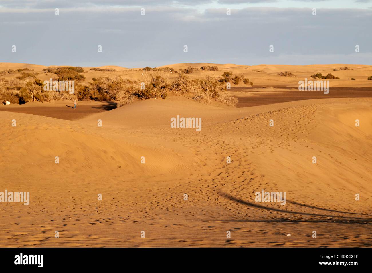 Fußspuren und Menschen in den Sanddünen von maspalomas gran canaria, den kanarischen Inseln, spanien Stockfoto