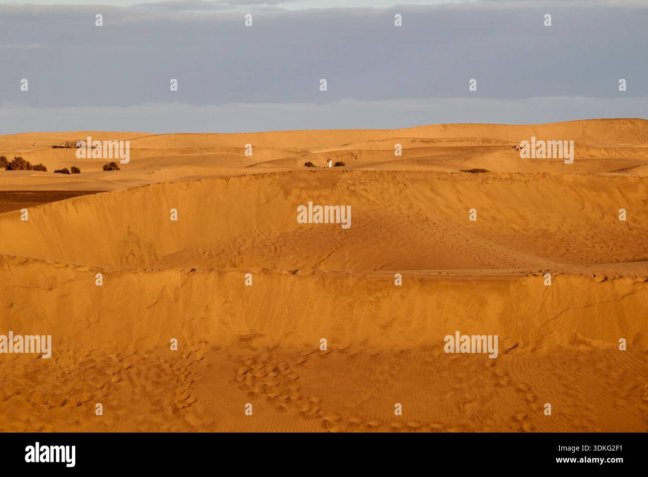 Fußspuren und Menschen in den Sanddünen von maspalomas gran canaria, den kanarischen Inseln, spanien Stockfoto