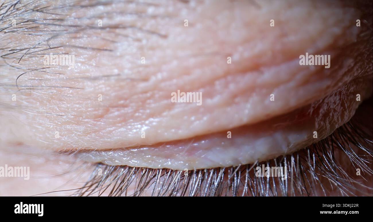 Ruhiges Lid Mit Sanften Gesichtszügen, Ruhiges Lid Mit Zarten Konturen Und Beruhigender Entspannung Ausdruck Stockfoto