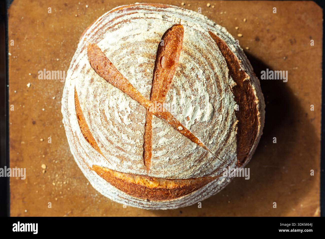 Hausgemachte, rustikale Sauerteigbrotlaib mit rundem Brot, die Ringe des Bannetts sind sichtbar bemehlt und auf einem Blatt Pergament eingekerbt Stockfoto