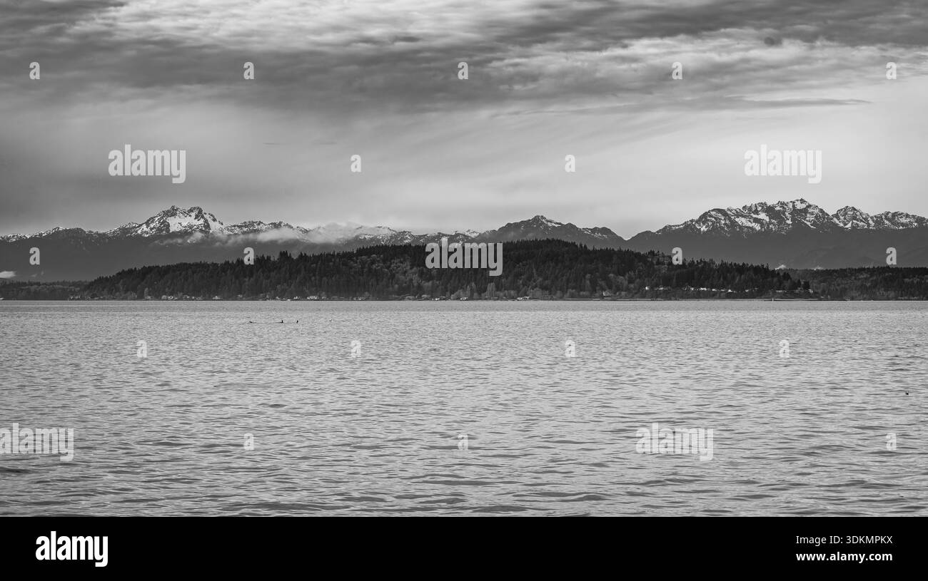 Blick auf die Olympic Mountains über den Puget Sound von West Seattle, Washington. Stockfoto