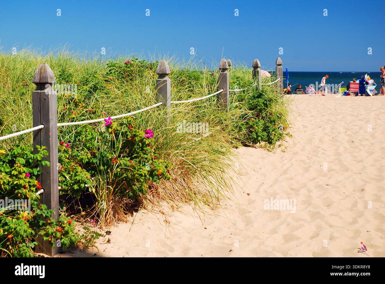 Ein Weg führt durch das Dünengras und führt an einem Sommerurlaub in Old Orchard Beach, Maine, zum Ufer Stockfoto