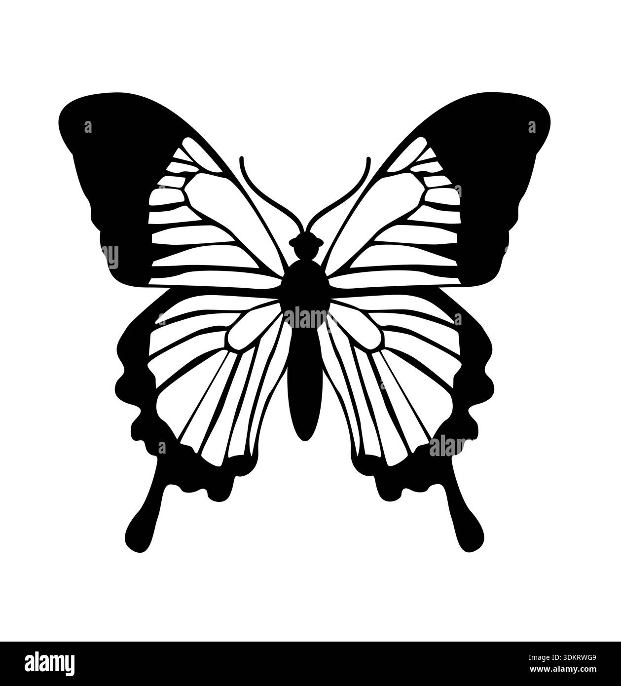 Schmetterling. Vektorgrafik Stock Vektor