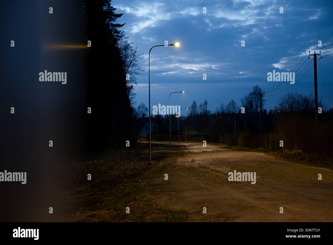 Eine von Straßenlaternen gesäumte Feldstraße strahlt in der Abenddämmerung ein warmes Leuchten aus. Spärliche Bäume, Büsche, Versorgungsmasten und entfernte Hauspillen runden die Szene ab. Stockfoto