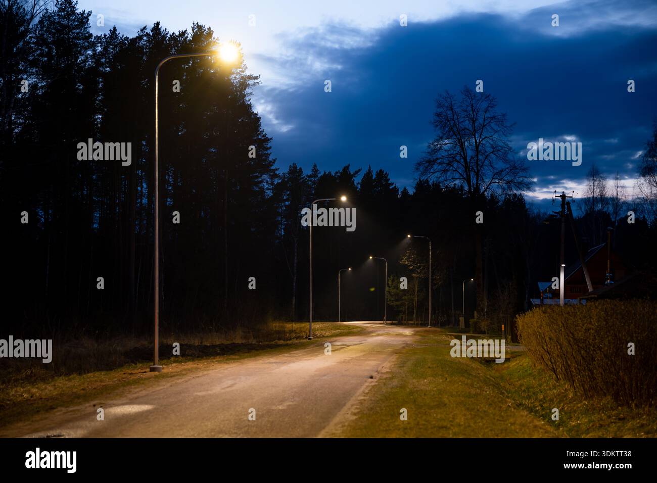 Eine von Straßenlaternen beleuchtete Landstraße, die von Bäumen und einer Hecke umgeben ist, mit einigen Häusern, die unter einem teilweise bewölkten Abendhimmel zu sehen sind. Stockfoto